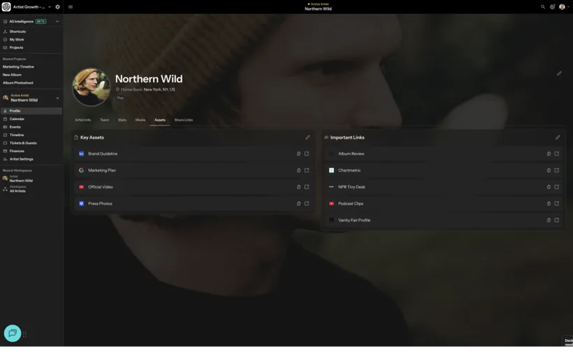 The Assets tab of an artist profile: key assets such as brand guidelines, marketing plan, official video and press photos, beside a list of important external links.