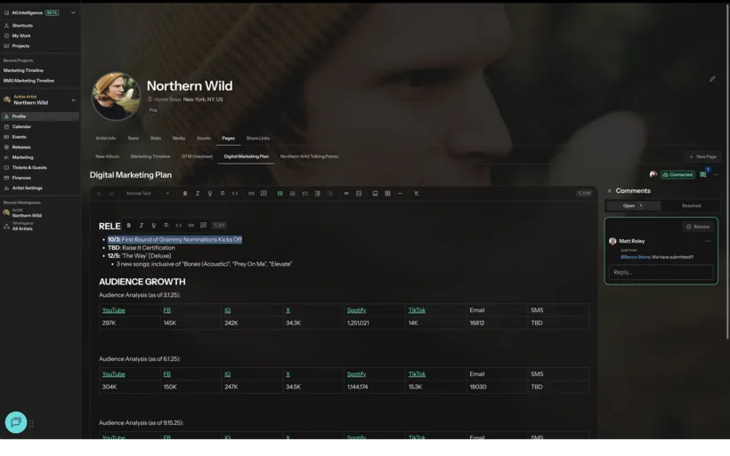 The Pages tab of an artist profile: a row of named documents with one open in the editor, showing release milestones and audience-growth tables, beside a comments panel.